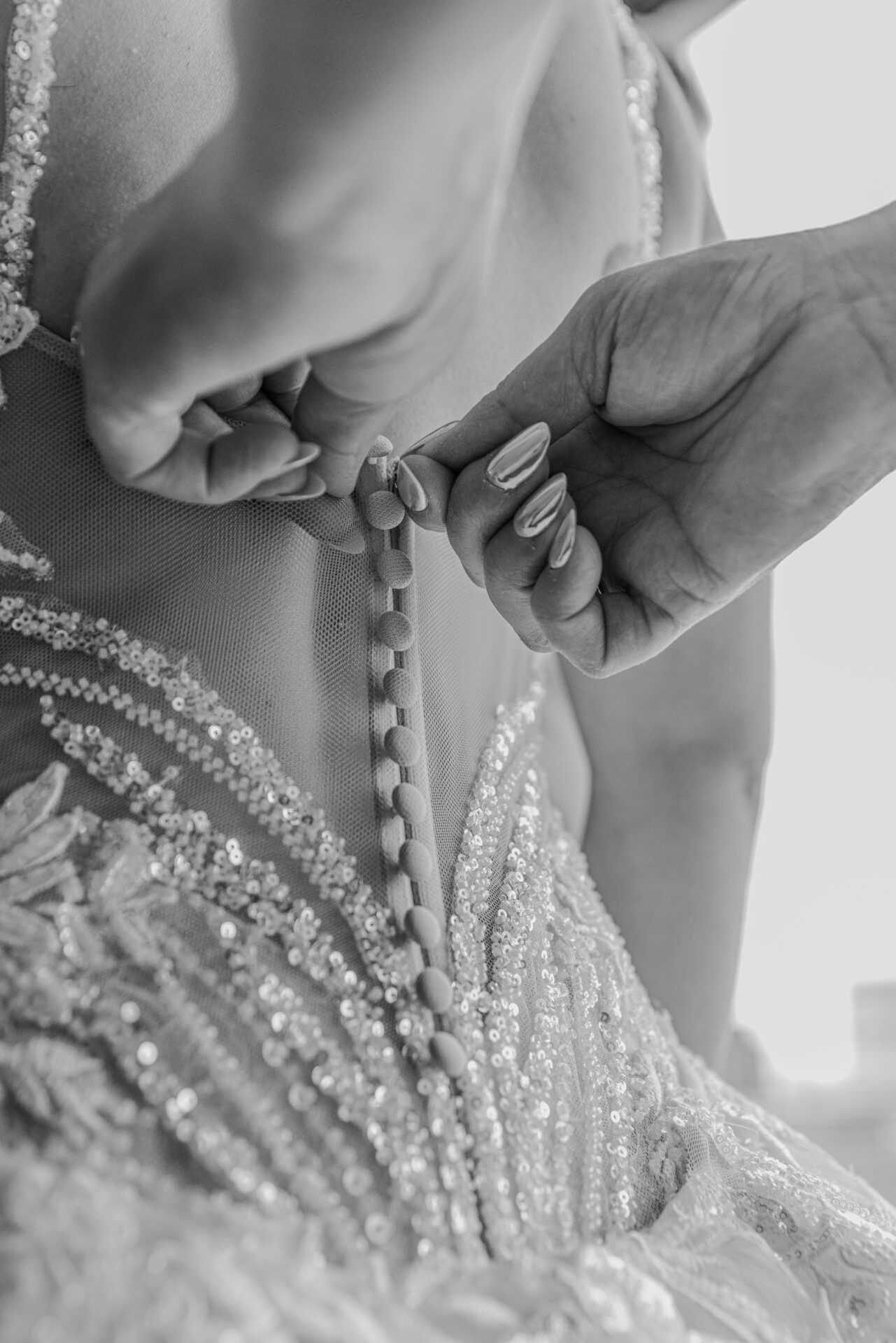 Lush Wedding Photography Packages